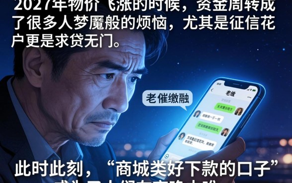商城类好下款的口子，归纳五个无视黑白下款8000左右的口子