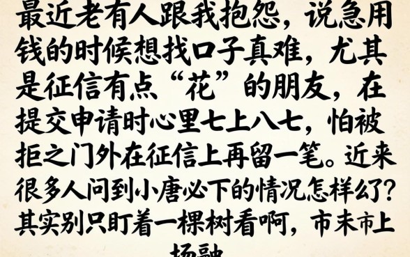 小唐必下款打不开，鼎力推荐五个无视黑白下款8000左右的口子