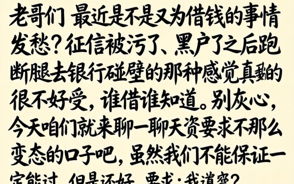 现在黑户下款的网贷，整理5个闪电审批的app