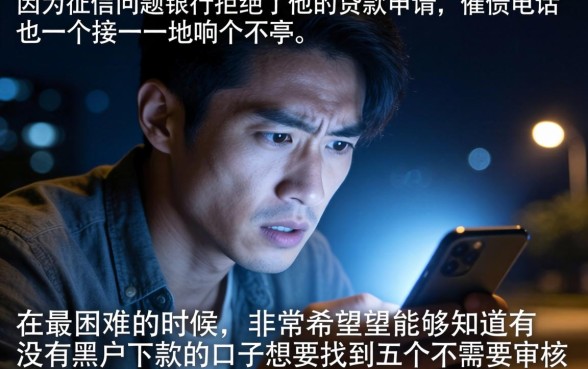 有什么黑户下款口子，理出5个可以借钱不用审核的口子