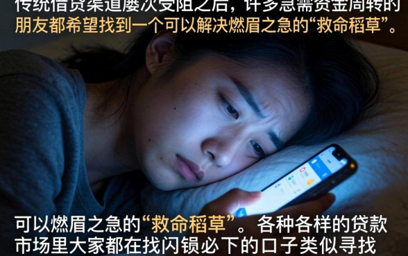 类似闪银必下的口子，枚举5个网贷大口子轻松借平台