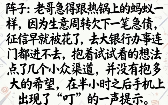 周期长的贷款平台，详细阐述5个黑户借款口子