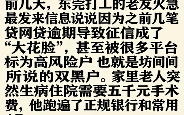 双黑秒下款的口子论坛，整合5个无视一切包下款5000秒下款的软件