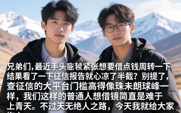 借贷好下款的口子，热忱推荐五个无视黑白100%秒下网贷平台