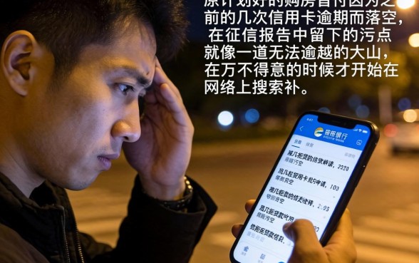 房贷征信花了怎么办，精选5个12月能贷款的口子