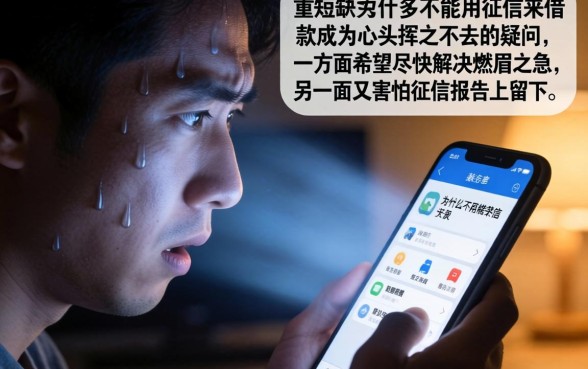 怎么不上征信借钱，规整5个秒下700芝麻分贷款软件