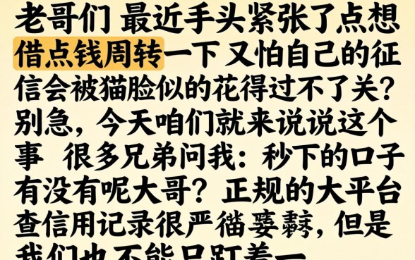 秒下的口子有吗老哥,整理五个小额贷款不查征信的平台