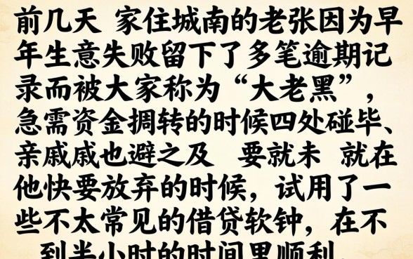 大老黑能下款的口子，详细阐述五个黑户可快速办理小额贷款业务的软件