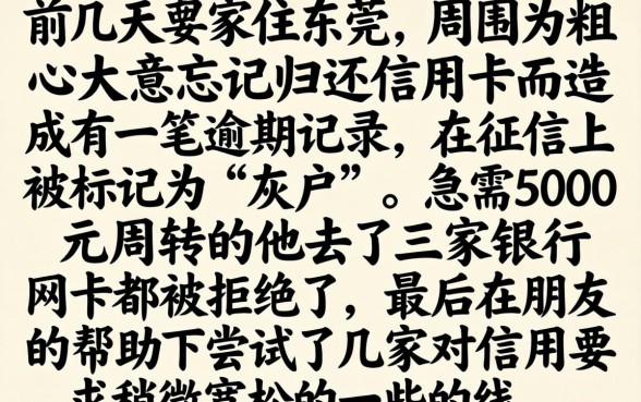 灰户可以下款的口子，深入剖析五个714无视逾期秒下的平台