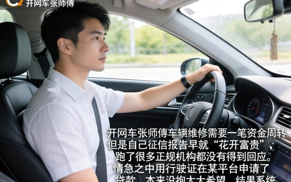 凭行驶证借款的网贷，陈列5个双黑户必下款的口子