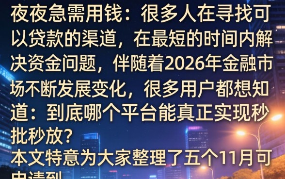 晚上能贷款的口子，归集五个11月能贷款的口子