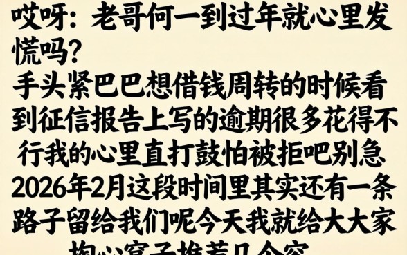 2026年2月容易下款的口子，筛选5个高炮双黑逾期必下款平台