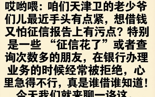 天津好下的网贷口子，概括五个征信花了可以借钱的网贷平台