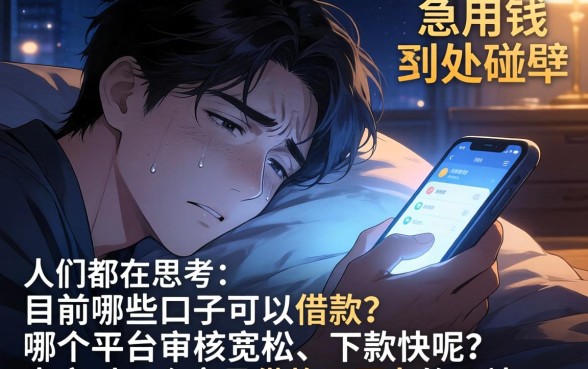 现在哪些口子能借款，深入剖析5个轻松借款无压力平台