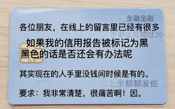 当前市面上还有哪些支持2026年申请的口子，胪列5个黑户可以做大额贷款口子