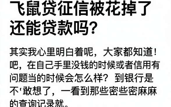 飞鼠贷征信花了可以贷吗，揭秘5个无视当前逾期无视征信的借款口子