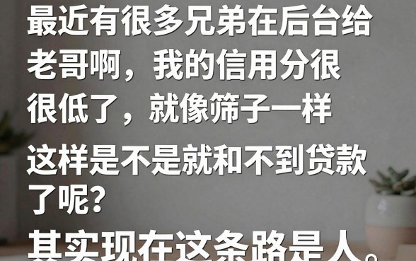 黑口子都有哪些好下款的，深入剖析5个无视一切的网贷口子