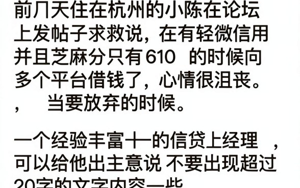 芝麻610大额借款口子，深入剖析5个审贷口子审核加快的平台