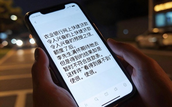 农行网捷贷有额度为什么贷不出来，概括五个小额贷款不查征信的平台