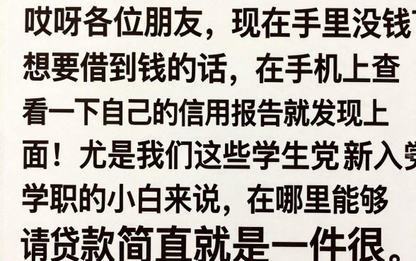 征信黑征信不好征信烂学生哪个平台可以借钱，归集5个花户3000秒下款app