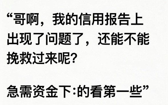 网上容易下款的口子有哪些，详细阐述5个新手机号容易下款的软件