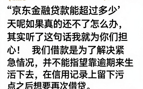 京东金融贷款可以逾期几天，整合5个APP容易借款1万块的app