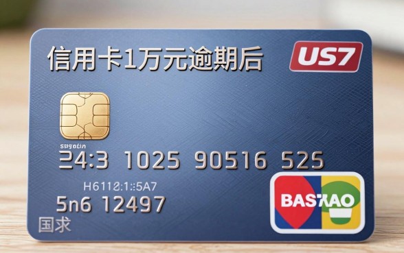 信用卡1万逾期多久会被起诉，详细阐述五个无视一切的网贷