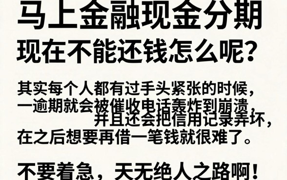 马上金融现金分期暂时还不上会怎么样,遴选5个极速审核的网贷口子