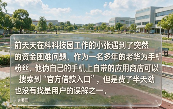 华为有没有借款的口子，深入剖析五个急用不求评分快借无忧的口子