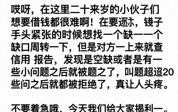 20岁可以做什么贷款呢，整合五个黑户可以做大额贷款app
