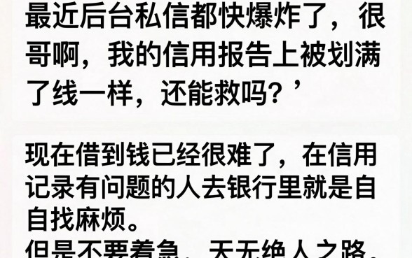 买会员能下款的小口子，汇总五个黑户贷款必下口子app