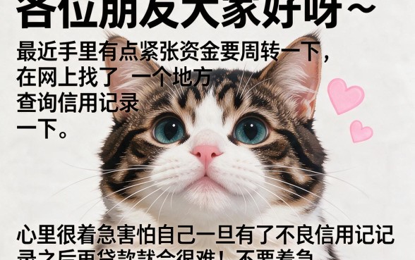 征信被黑花了怎么办才好，倾情分享五个黑户无条件下款的平台