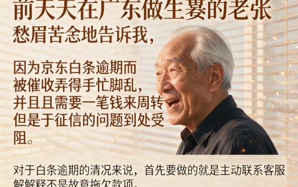 京东白条逾期如何协商分期，概括5个黑户能下款的软件