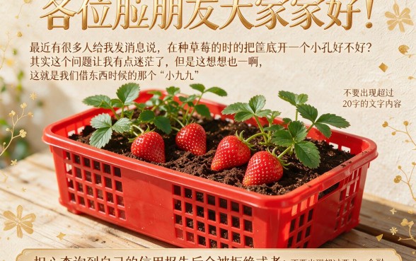 种草莓的筐下面是否要弄个小洞口子，精选五个高炮无视逾期能下的口子