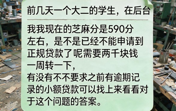 芝麻分590的下款口子，概览5个满19岁可以借款的口子