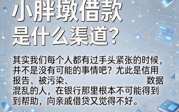 小胖墩借款是哪个口子的，精选五个真正无视逾期大数据的网贷app