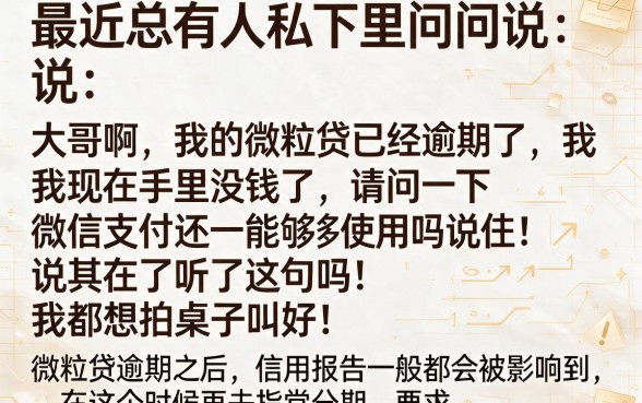 微粒贷逾期分付可以用吗，枚举五个网贷黑户必过平台