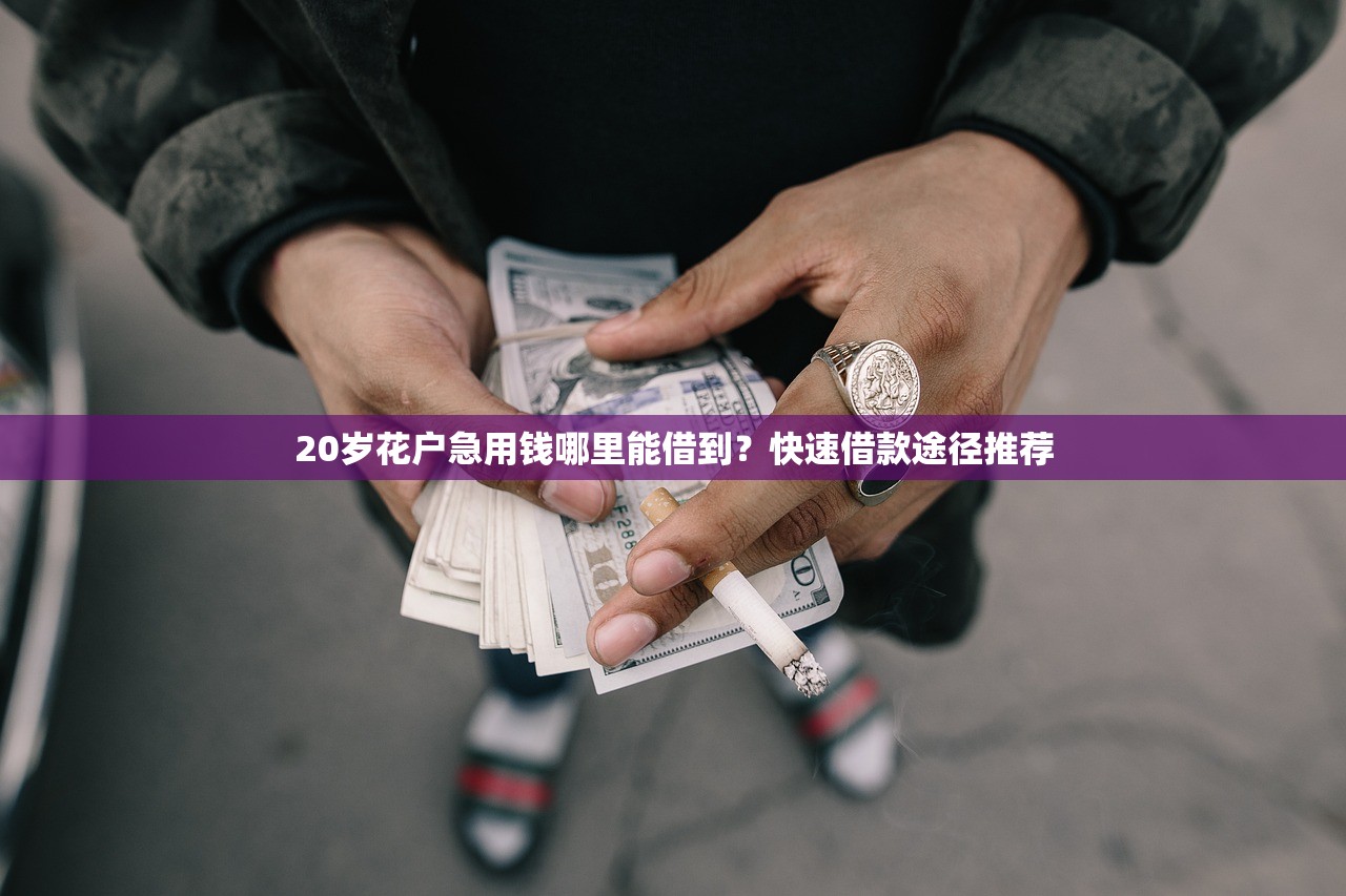 20岁花户急用钱哪里能借到？快速借款途径推荐