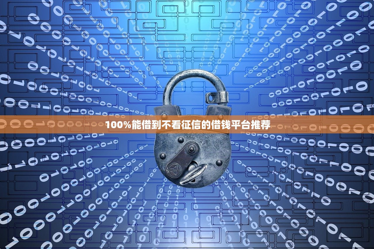 花户能下款的正规网贷公司有哪些？这5家资质稳审核快