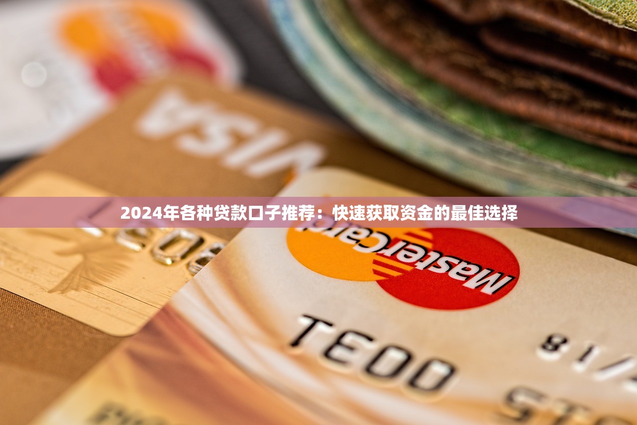 2024年各种贷款口子推荐：快速获取资金的最佳选择