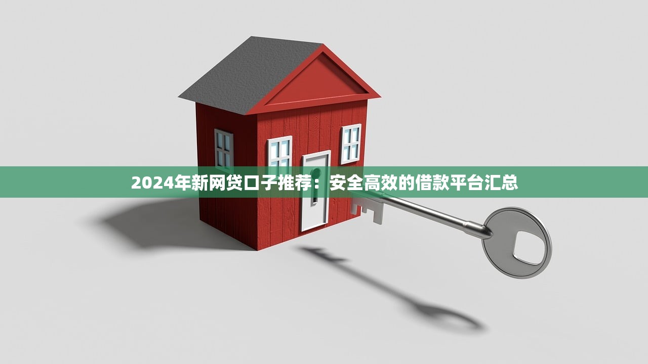 2024年新网贷口子推荐：安全高效的借款平台汇总