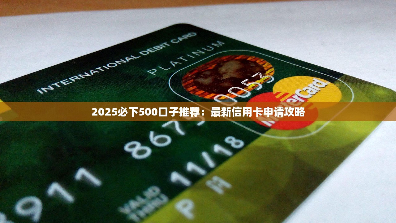 2025必下500口子推荐：最新信用卡申请攻略