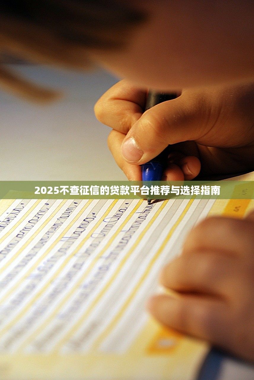 2025不查征信的贷款平台推荐与选择指南
