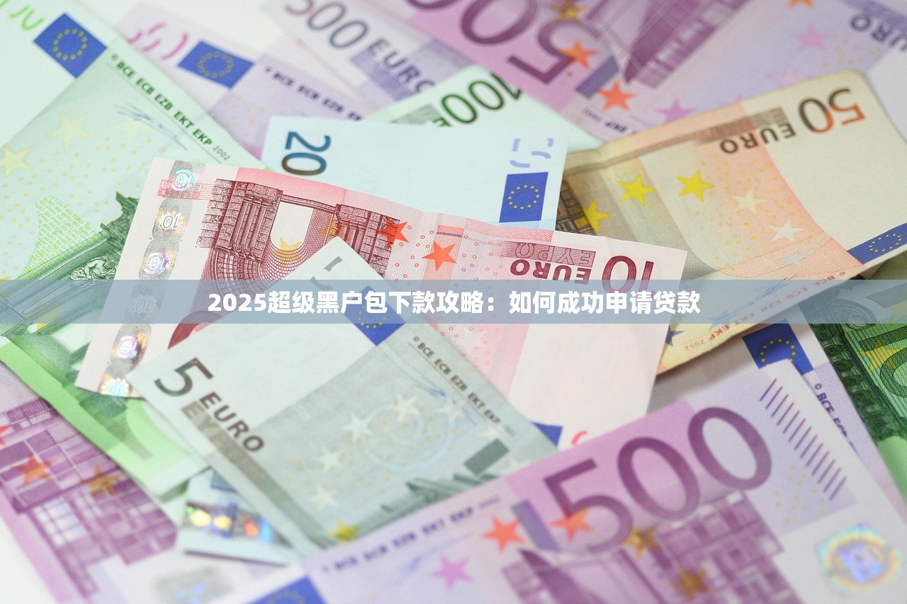 2025超级黑户包下款攻略：如何成功申请贷款