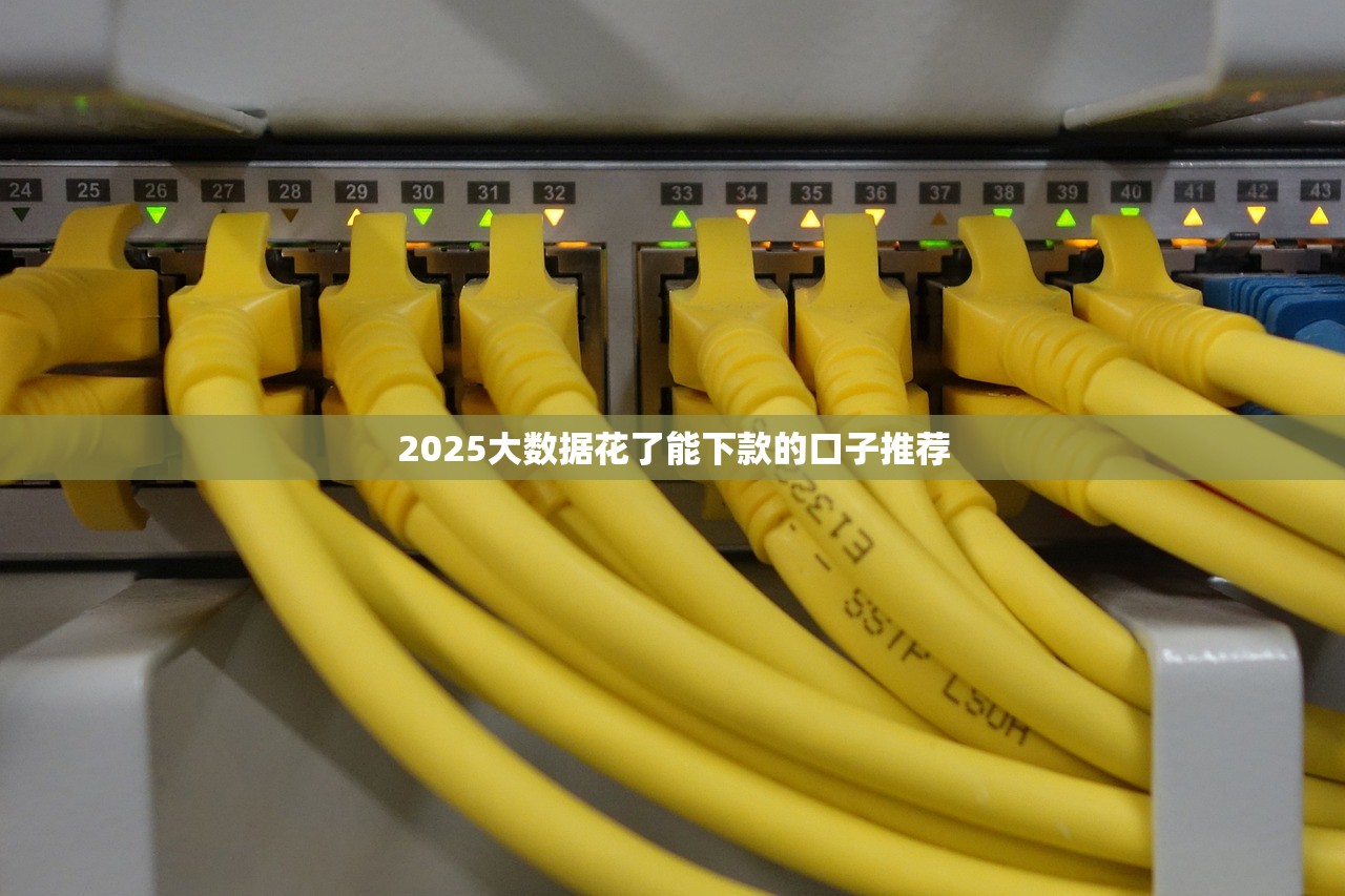 十大不看征信正规网贷2025：低门槛靠谱渠道深度实测