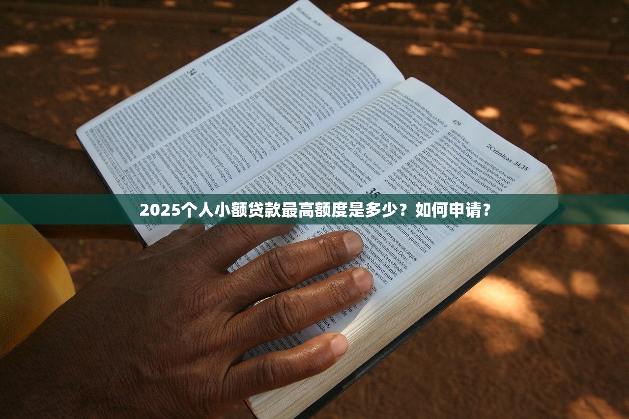 哪个贷款平台借钱额度高又正规的？这5家靠谱渠道必看
