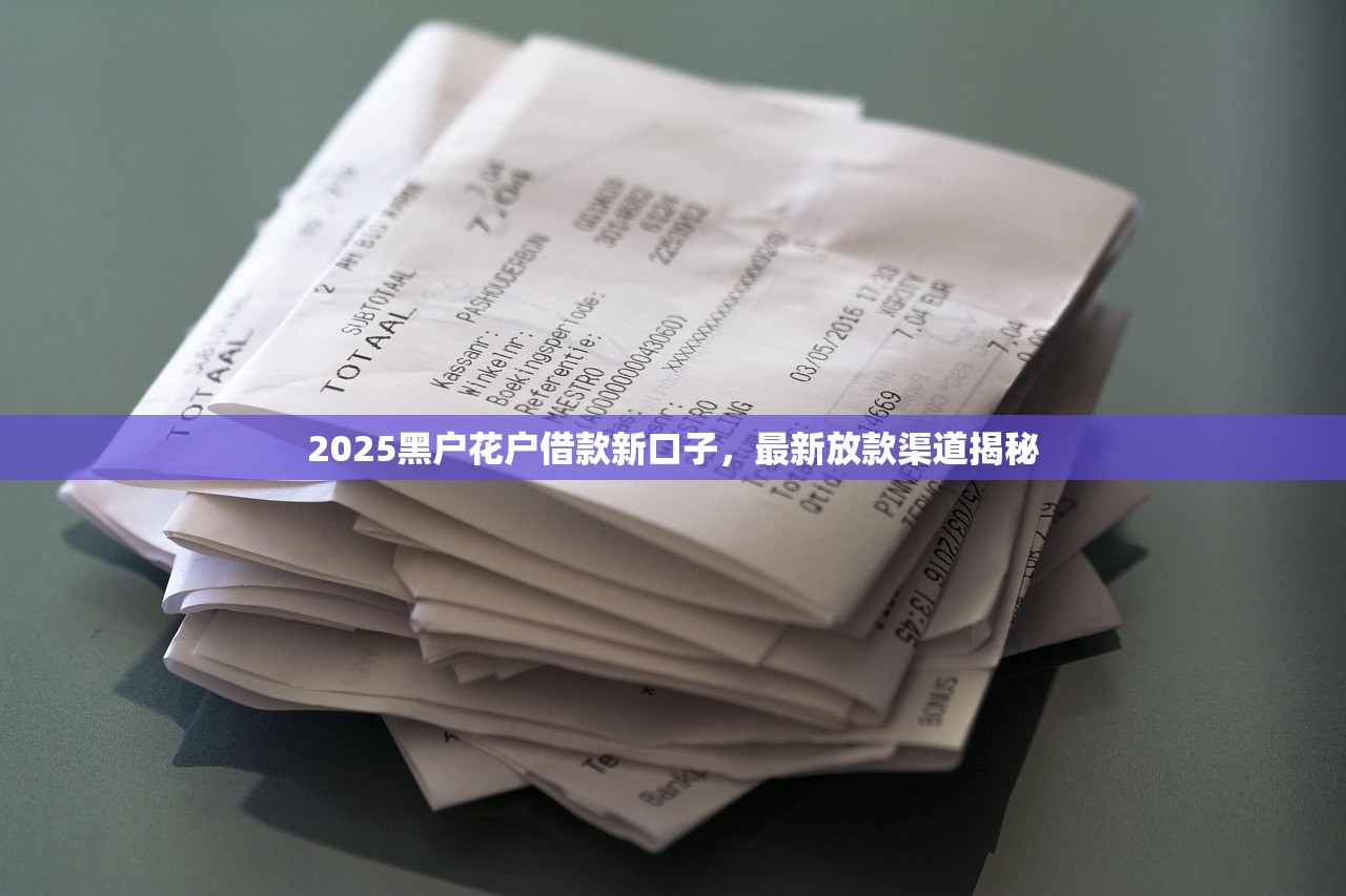 2025小额度黑户借款必下口子推荐，轻松解决资金难题