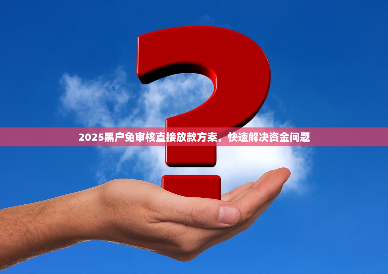 2025黑户免审核直接放款方案，快速解决资金问题