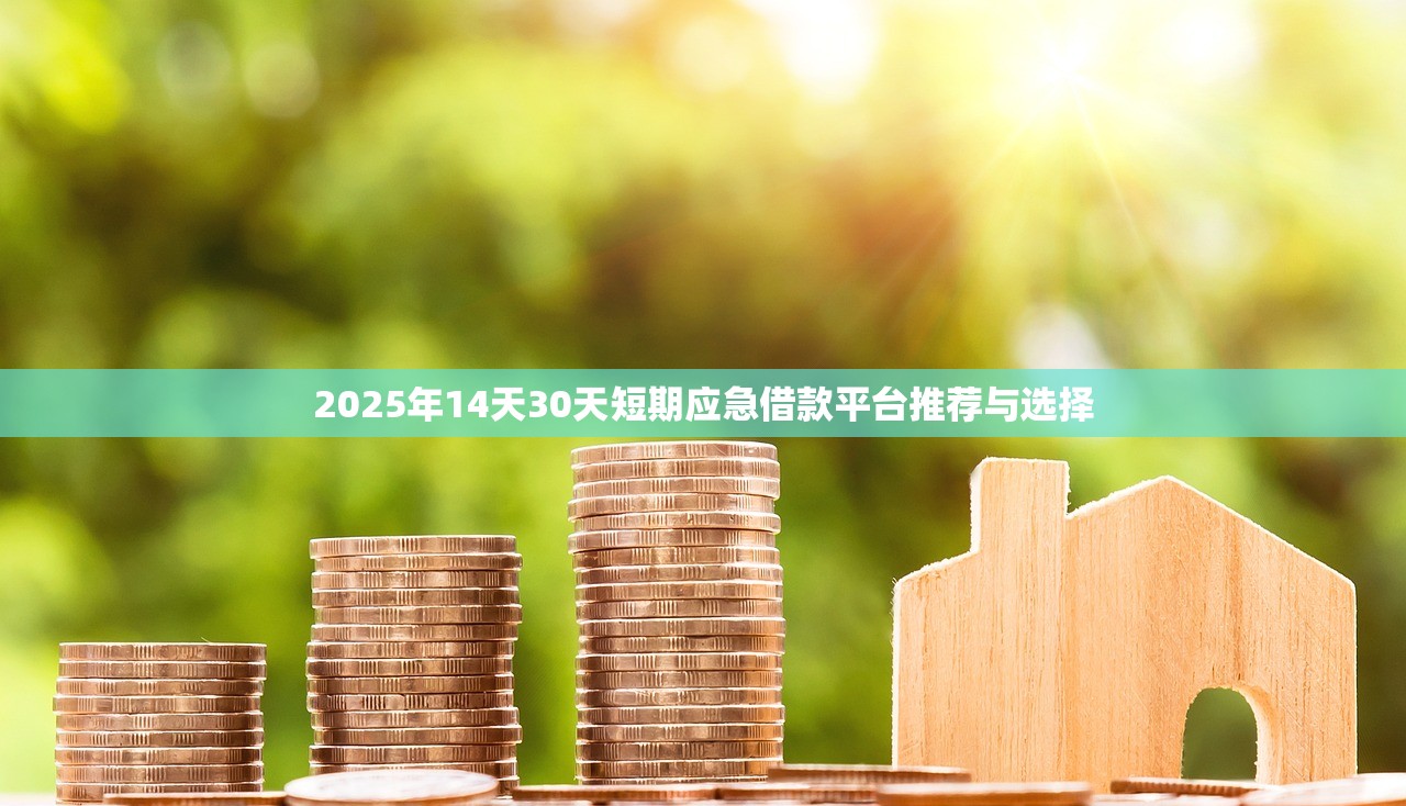 不看征信的小额借钱平台推荐 2024年最佳选择