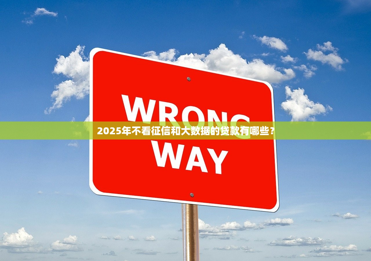 不看征信负债的网贷百分百下款推荐
